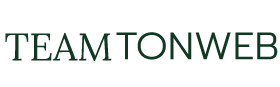 Teamtonweb Logo บริการเว็บไซต์พร้อมใช้
